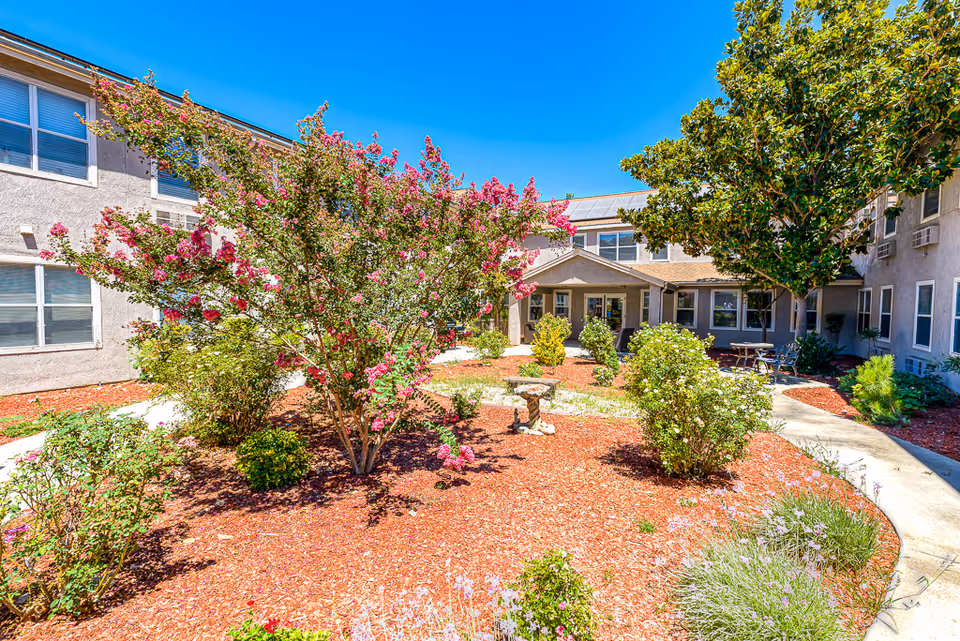 A sunny courtyard garden area at Pacifica Senior Living Merced featuring a variety of green shrubs and a tree with pink flowers. The garden is surrounded by a two-story building with multiple windows. There are paved walkways and outdoor seating areas with tables and chairs under the clear blue sky.