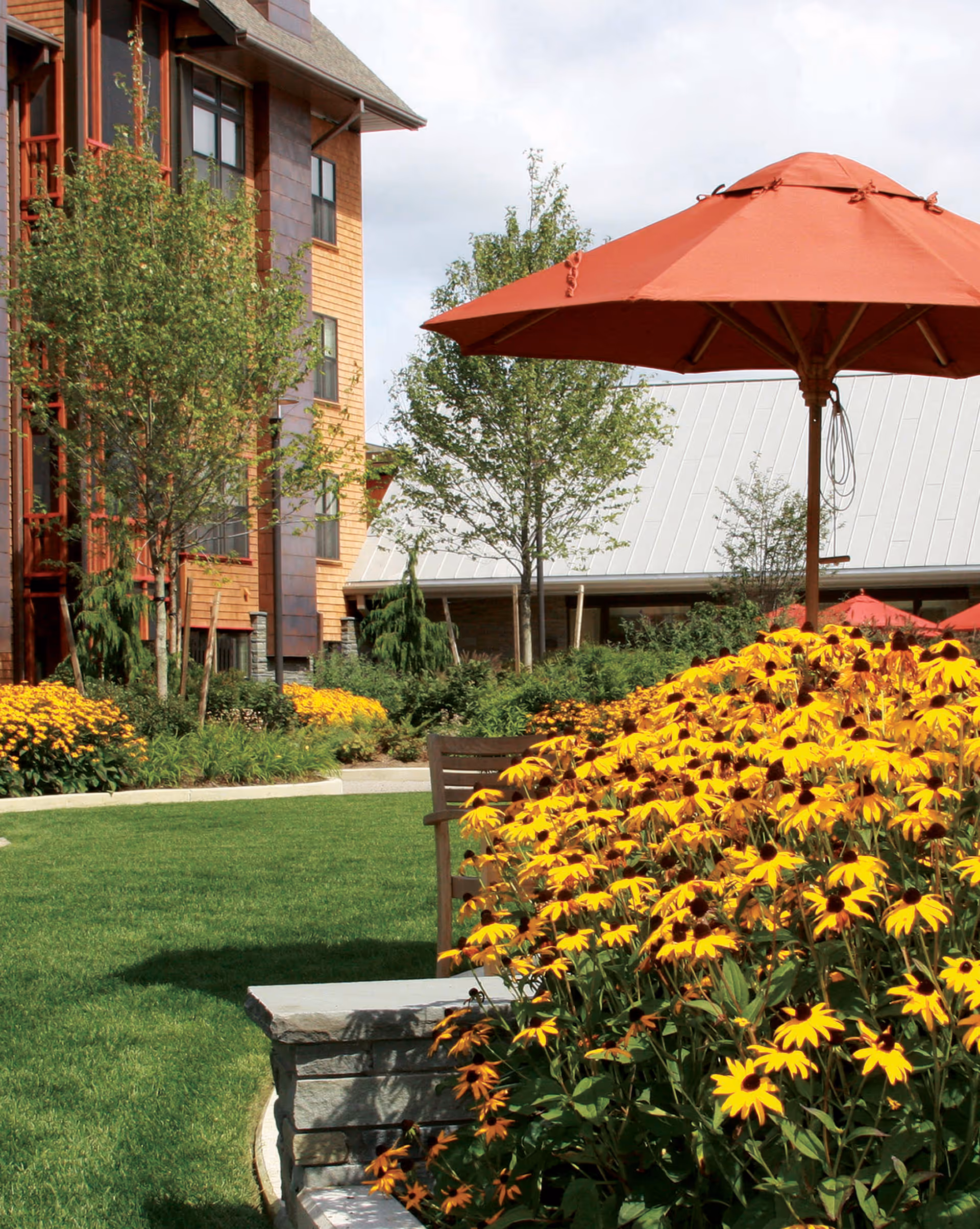 Outdoor garden area at NewBridge on the Charles featuring a lush green lawn, vibrant yellow flowers, several trees, a wooden bench, and a large red patio umbrella with a building in the background.