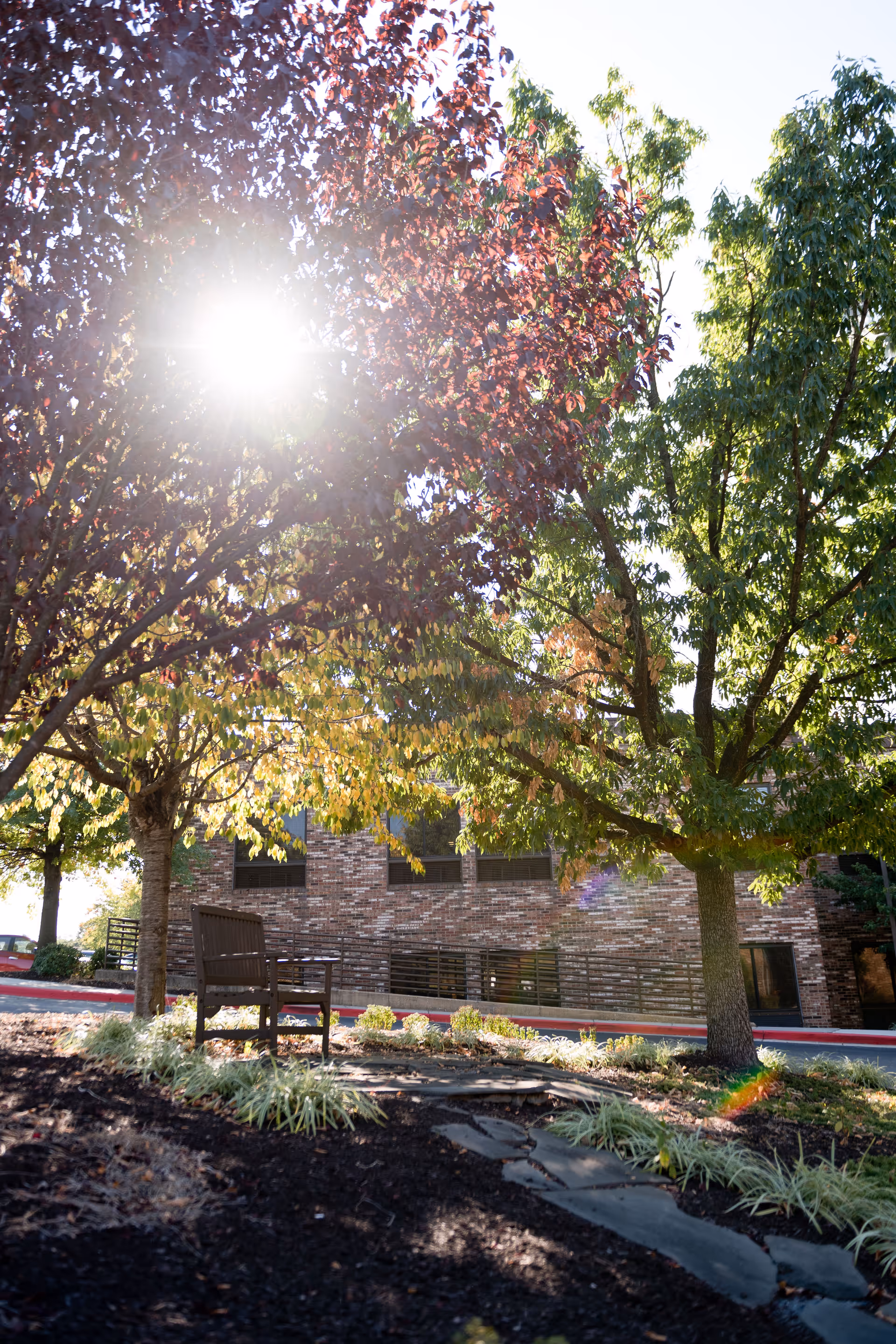 Sunlit outdoor seating area with a wooden bench under trees in front of a brick building.