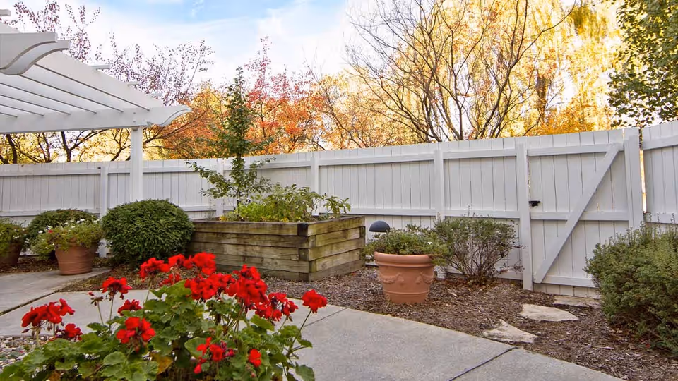 Outdoor garden area with a white wooden fence, a raised wooden planter box, various potted plants including red flowers, and a white pergola structure on the left side. Trees with autumn-colored leaves are visible in the background under a partly cloudy sky.