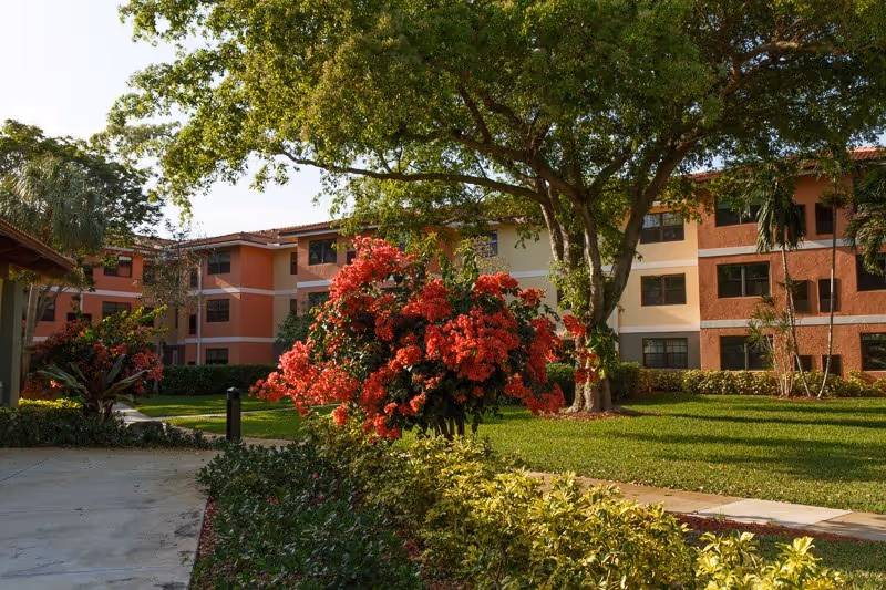 Sunny courtyard with a large tree, red flowering shrubs and a green lawn in front of a multi-story residential building.