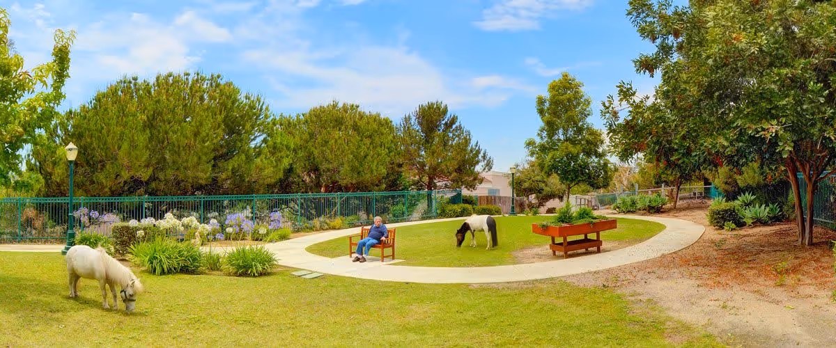 A landscaped outdoor courtyard with a winding path, benches, two grazing ponies and a person sitting on a bench.