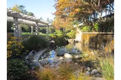 Outdoor garden with a water feature, rocks, plants, and a pergola.