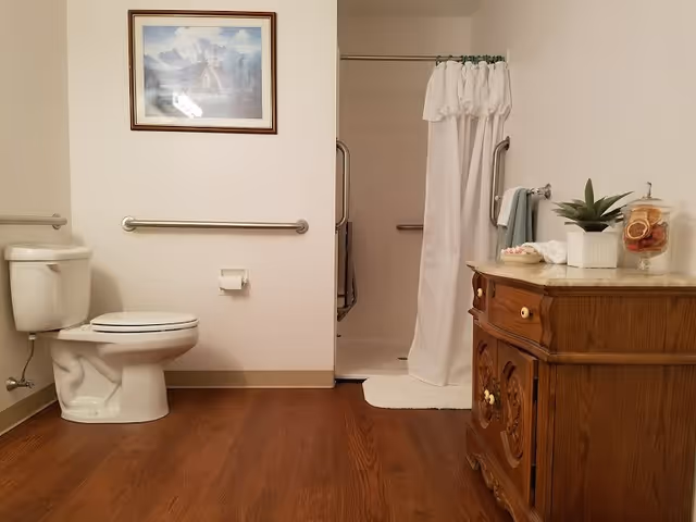 A clean bathroom with a white toilet on the left, a grab bar on the wall behind it, and a toilet paper holder. To the right is a shower area with a white curtain and grab bars inside. On the right side of the image is a wooden cabinet with a marble top, decorated with a small potted plant and a glass jar with dried fruit. The floor is wood-style, and a framed picture hangs on the wall above the grab bar.