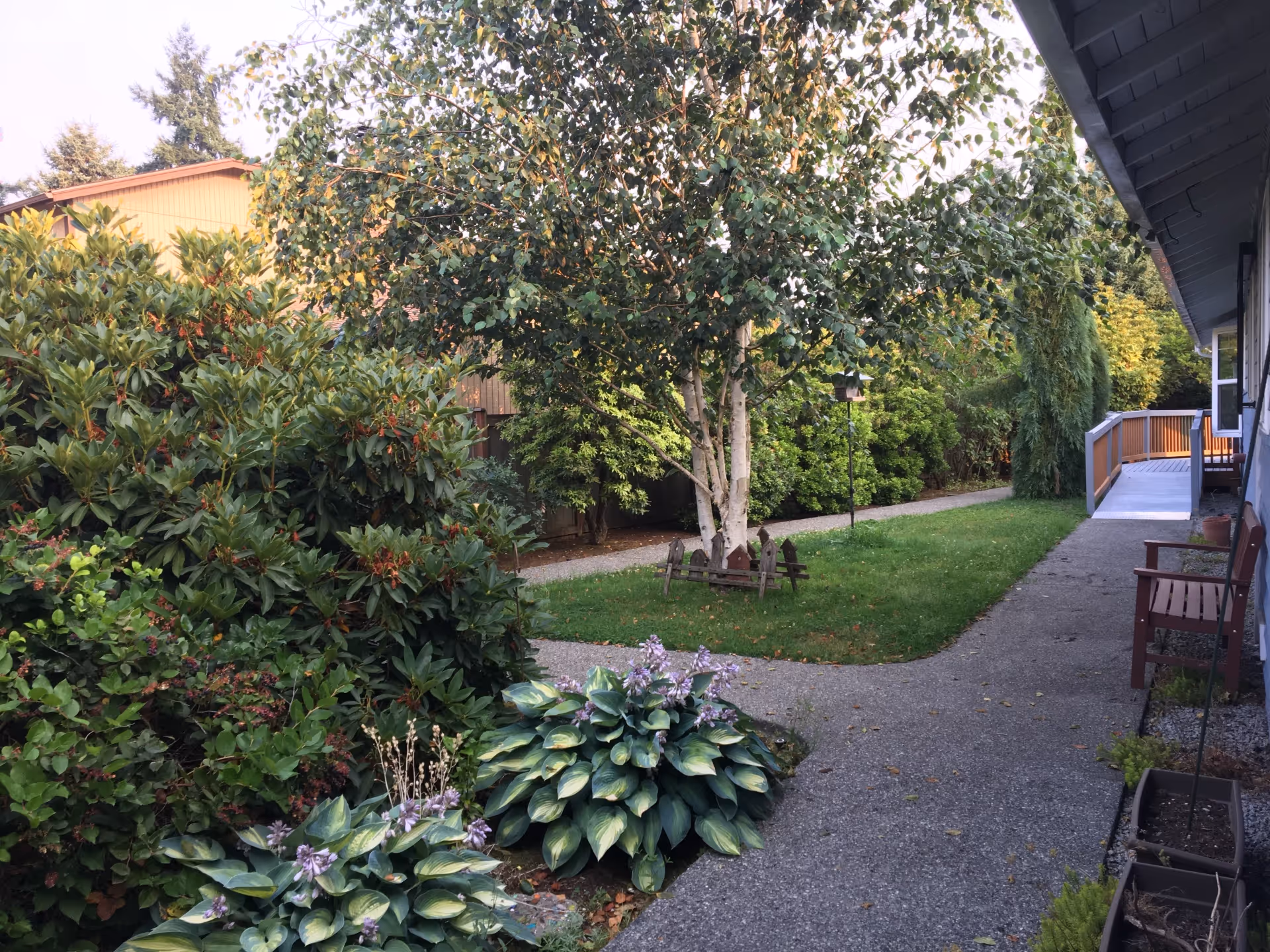 A garden area with a concrete pathway winding through green grass and various plants and bushes. There is a tree with a small wooden fence around its base in the center. On the right side, there is a building with a wooden bench and a ramp leading to a door. The scene is outdoors with a clear sky and some trees in the background.