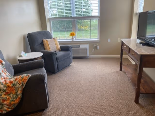 A cozy living room area with two gray armchairs, one with a floral blanket and the other with a yellow pillow. There is a small round side table between the chairs with a tissue box on it. A large window with blinds lets in natural light, and a small vase with yellow flowers sits on the windowsill. A wooden TV stand with a marble top holds a flat-screen television on the right side of the room. The floor is carpeted in a light brown color.