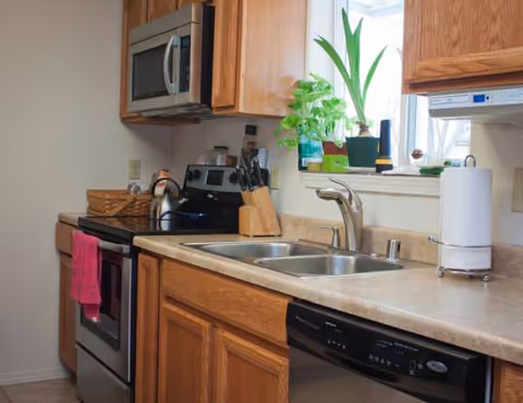 Compact kitchen with stainless steel appliances, wooden cabinets, and potted plants by the window.