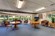 A spacious common area with large windows letting in natural light, featuring two round wooden tables with chairs, several armchairs, a television on a stand, and potted plants near the windows and walls.
