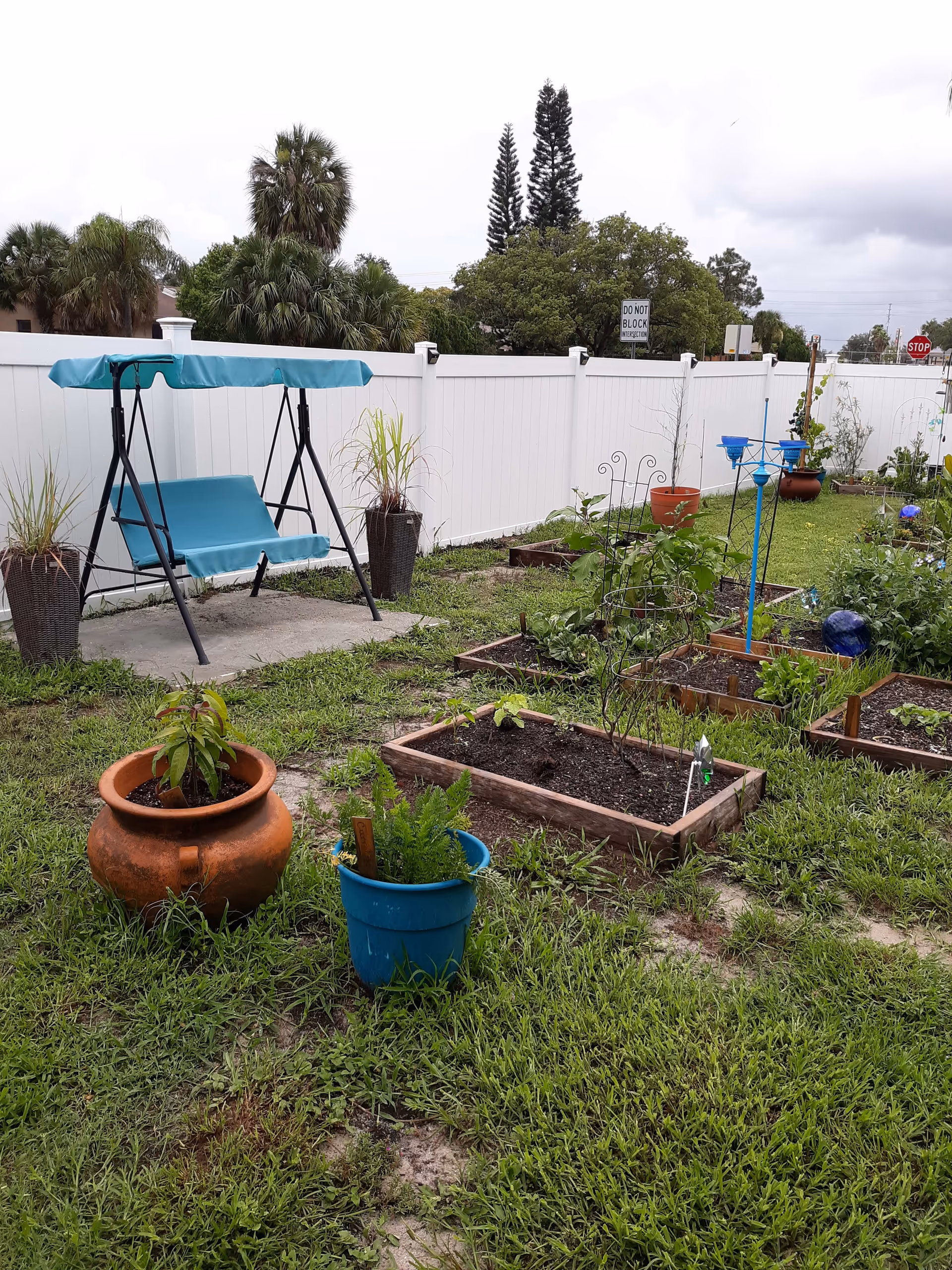 A garden area with several raised planting beds containing various plants and greenery. There are two potted plants in the foreground, one in a large terracotta pot and the other in a blue plastic pot. A teal-colored outdoor swing with a canopy is positioned on a concrete slab near a white fence. Trees and shrubs are visible beyond the fence under a cloudy sky.