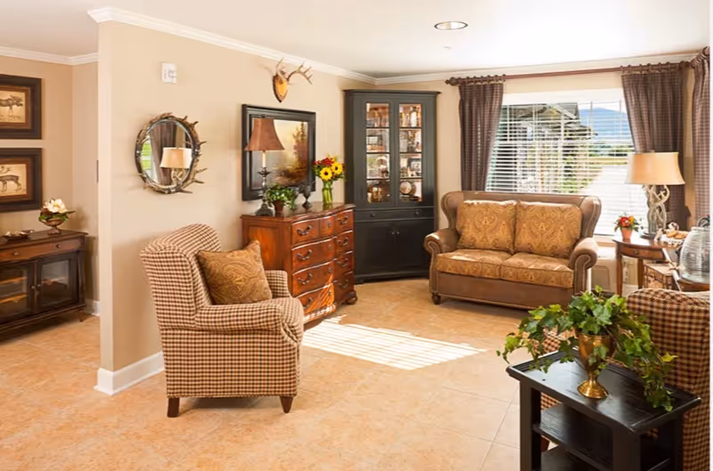 Sunlit living room with patterned armchairs and a loveseat, wooden cabinets and side tables, decorative lamps and plants.
