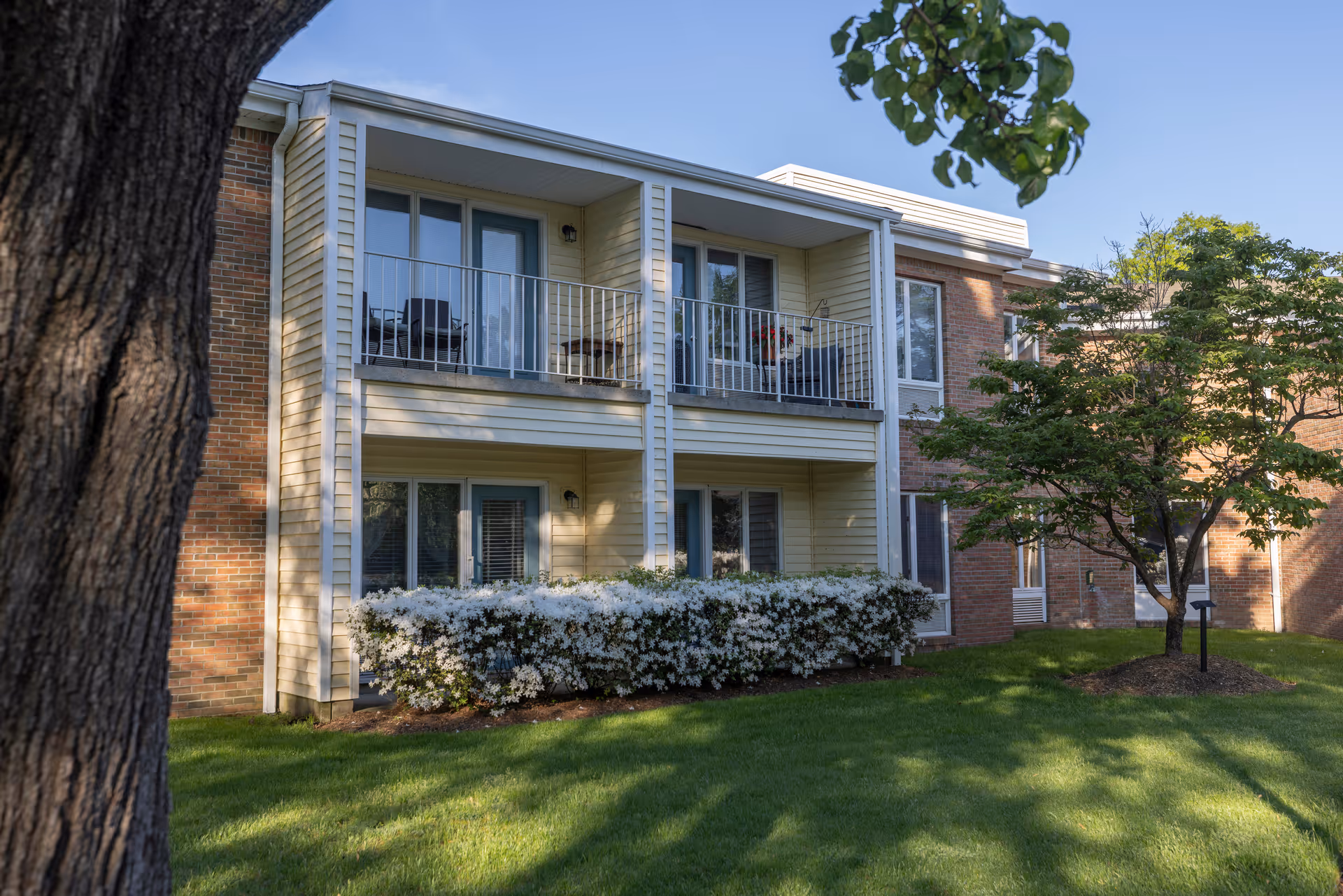 Exterior view of a two-story residential building with balconies on the upper floor and patios on the lower floor. The building has a combination of brick and light yellow siding. There are white flowering bushes and green grass in front, with a large tree trunk visible on the left and another tree on the right under a clear blue sky.