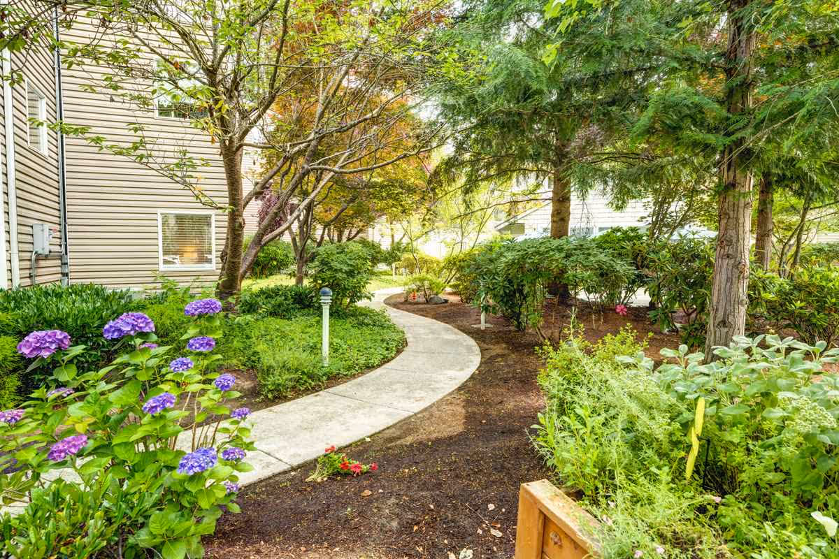 A winding concrete pathway through a lush garden area with various green shrubs, trees, and purple flowers next to a beige building with windows.