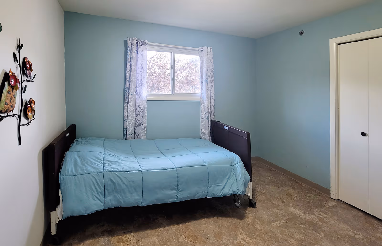 A simple bedroom in an assisted living facility with light blue walls, a single bed with a blue comforter, a window with patterned curtains, a white closet door, and a decorative wall hanging featuring birds.