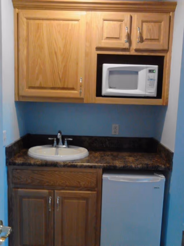 Small kitchenette with wooden cabinets, a countertop sink, a microwave and a mini refrigerator.