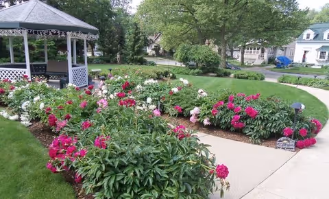 Well maintained garden with vibrant roses, a gazebo, and a winding walkway.