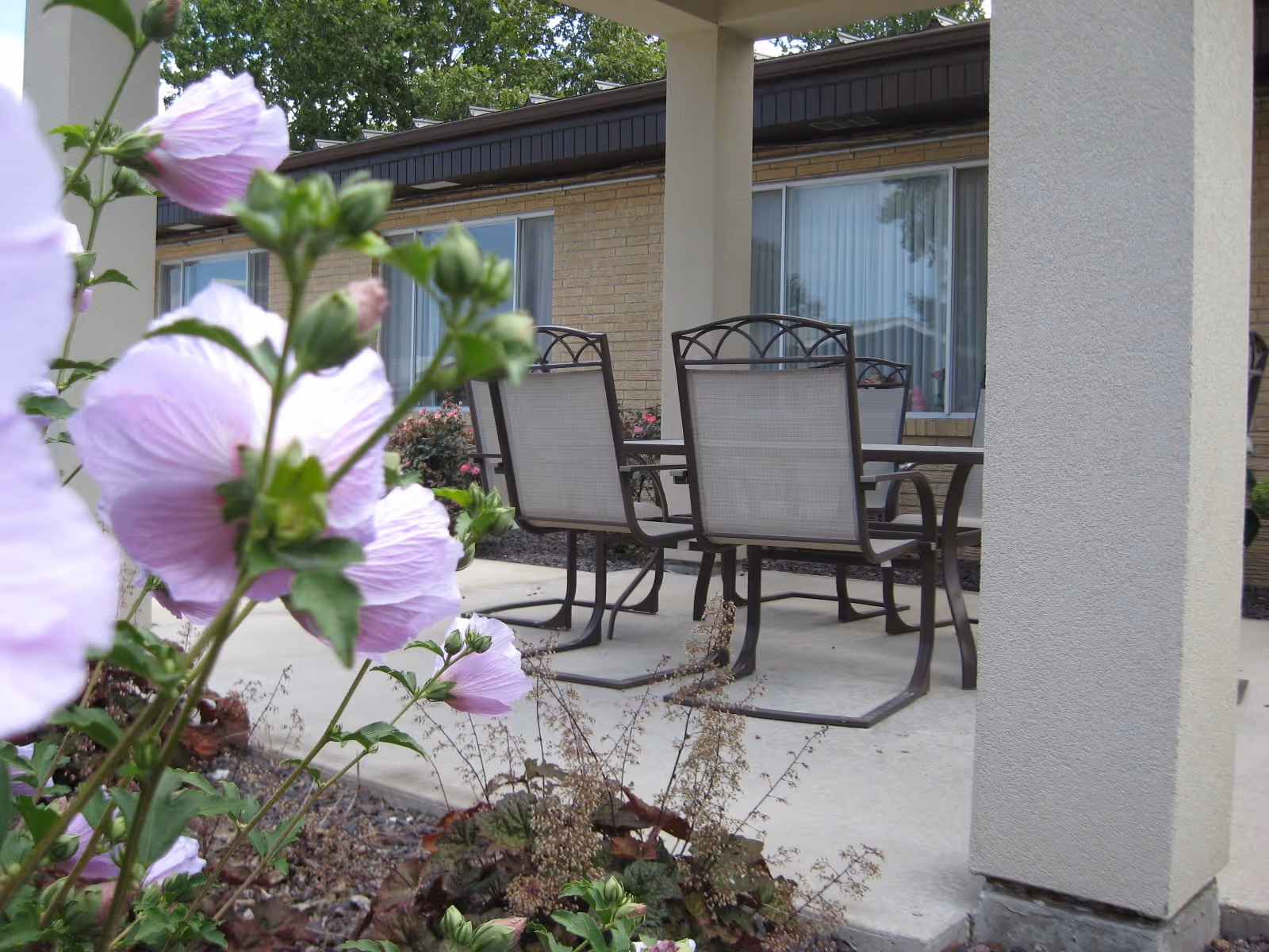 Outdoor patio area with a table and four metal chairs with mesh backs and seats. The patio is adjacent to a building with large windows and beige brick walls. In the foreground, there are blooming light purple flowers and green foliage.