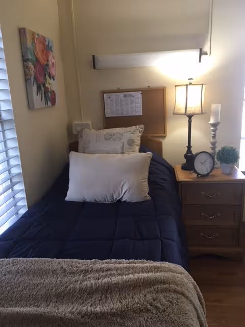 Single twin bed with a dark comforter and pillows beside a nightstand holding a lamp, clock, and small plant in a compact bedroom.