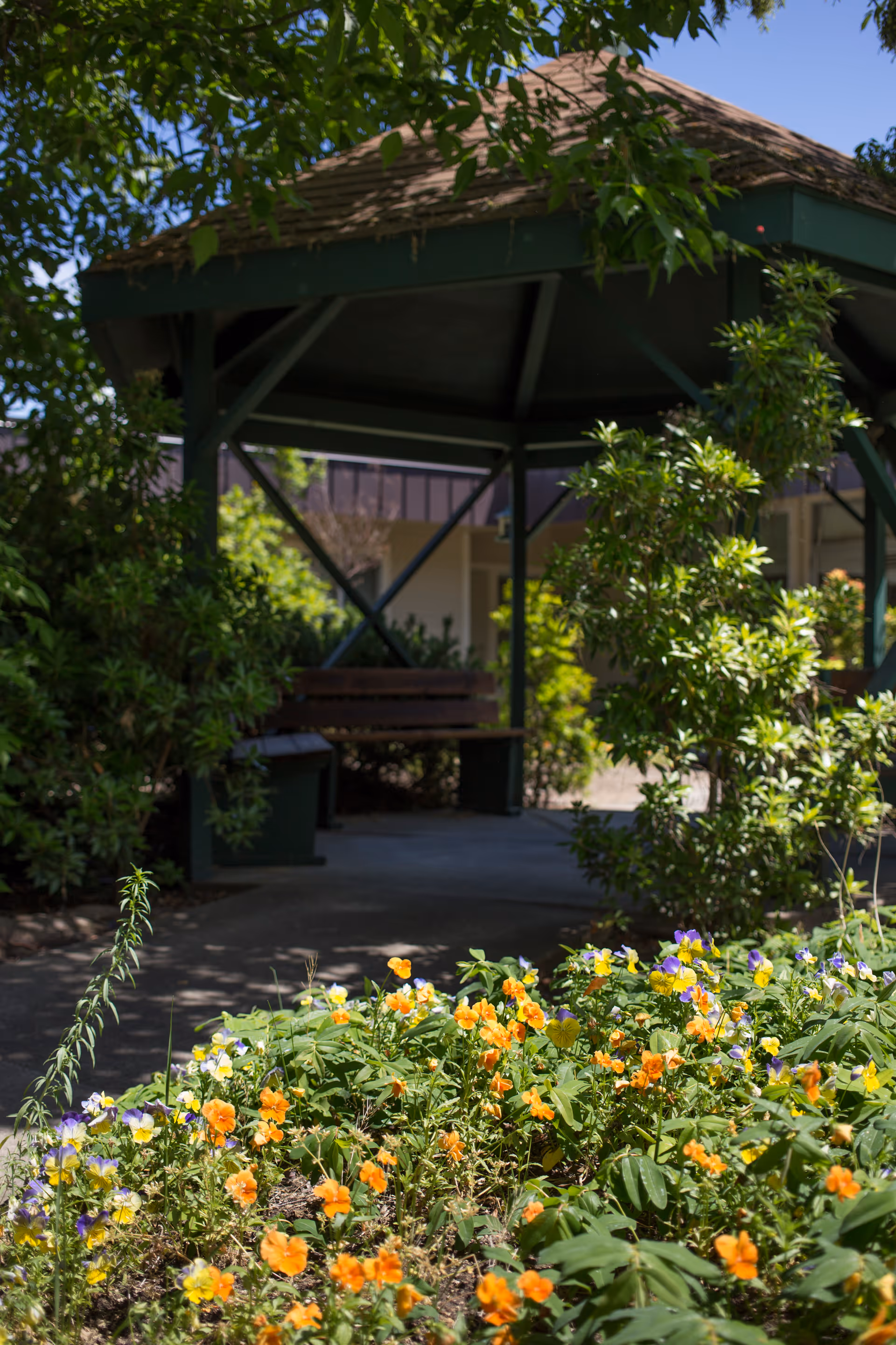Wooden gazebo with a bench surrounded by greenery and a bed of orange and purple flowers in the foreground.