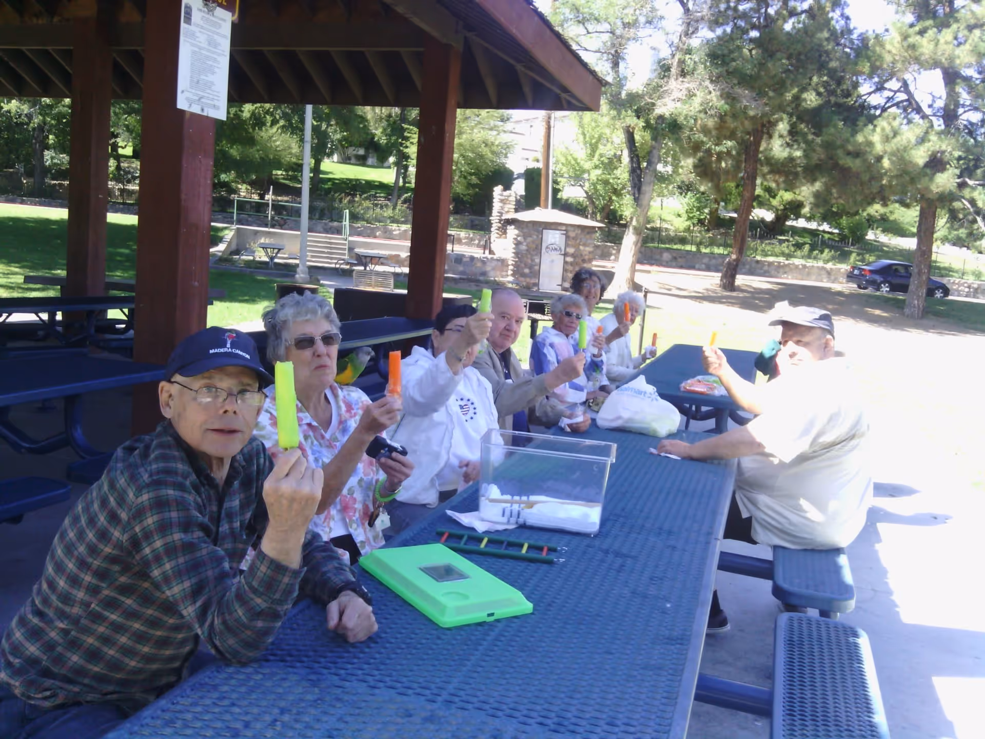 A group of elderly people sitting at a long outdoor picnic table under a wooden pavilion, each holding up a colorful popsicle. Trees and a grassy area are visible in the background.