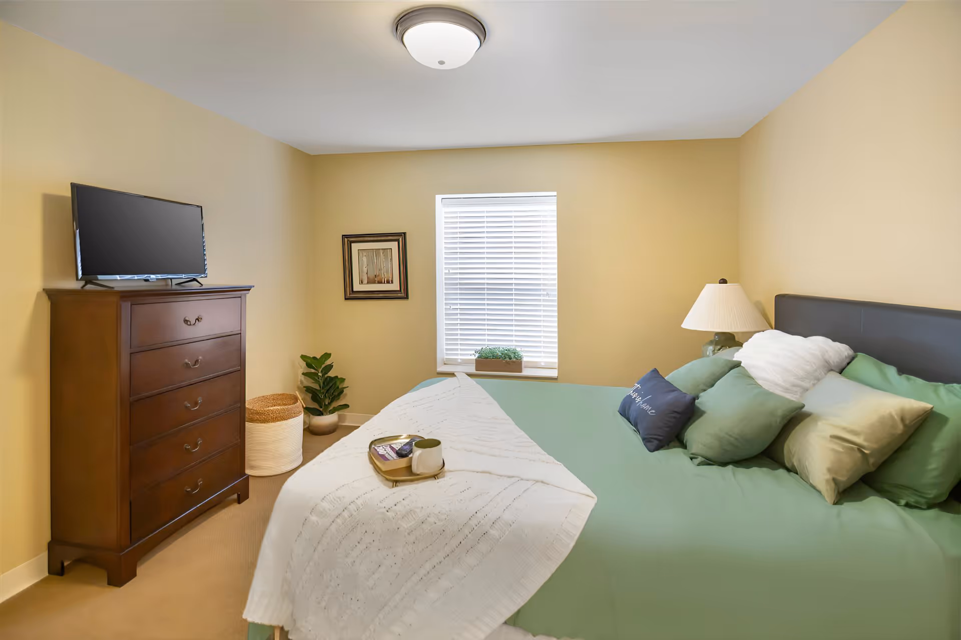 A bedroom with beige walls and a window with white blinds. The bed has a green bedspread, multiple pillows in shades of green and white, and a white knitted throw blanket with a tray holding a cup and a book. To the left of the bed is a wooden dresser with a flat-screen TV on top, a woven basket, and a potted plant. A framed picture hangs on the wall next to the window.