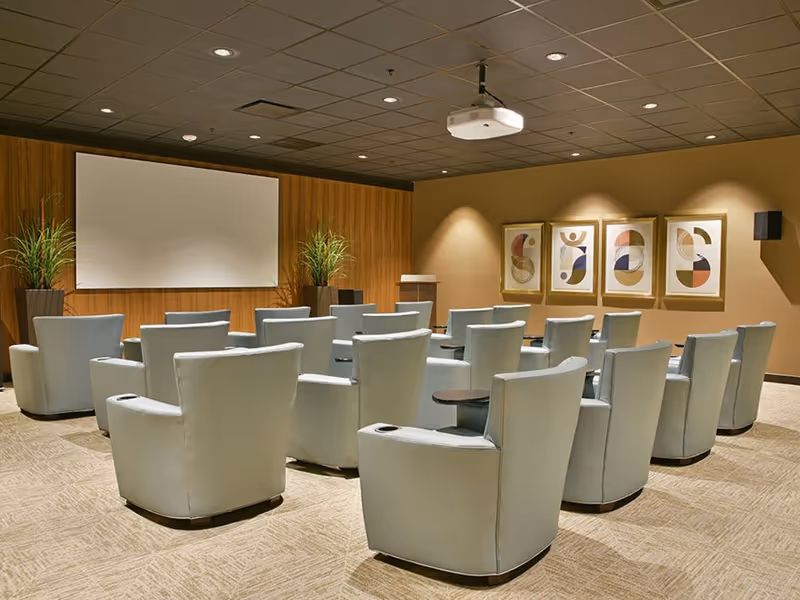A small theater or presentation room with several rows of light gray armchairs facing a large blank projection screen. The room has a beige carpet, wood-paneled wall behind the screen, and three abstract framed artworks on the right wall. Two potted plants flank the screen, and a ceiling-mounted projector is visible.
