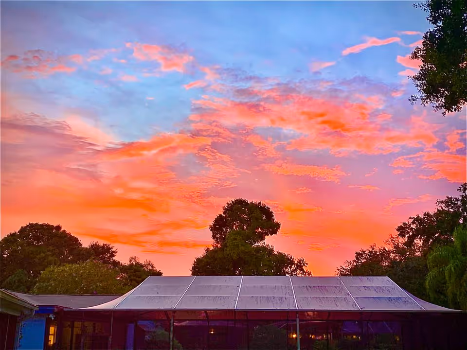 A vibrant sunset sky with shades of pink, orange, and blue above a building with a glass roof and surrounded by trees.