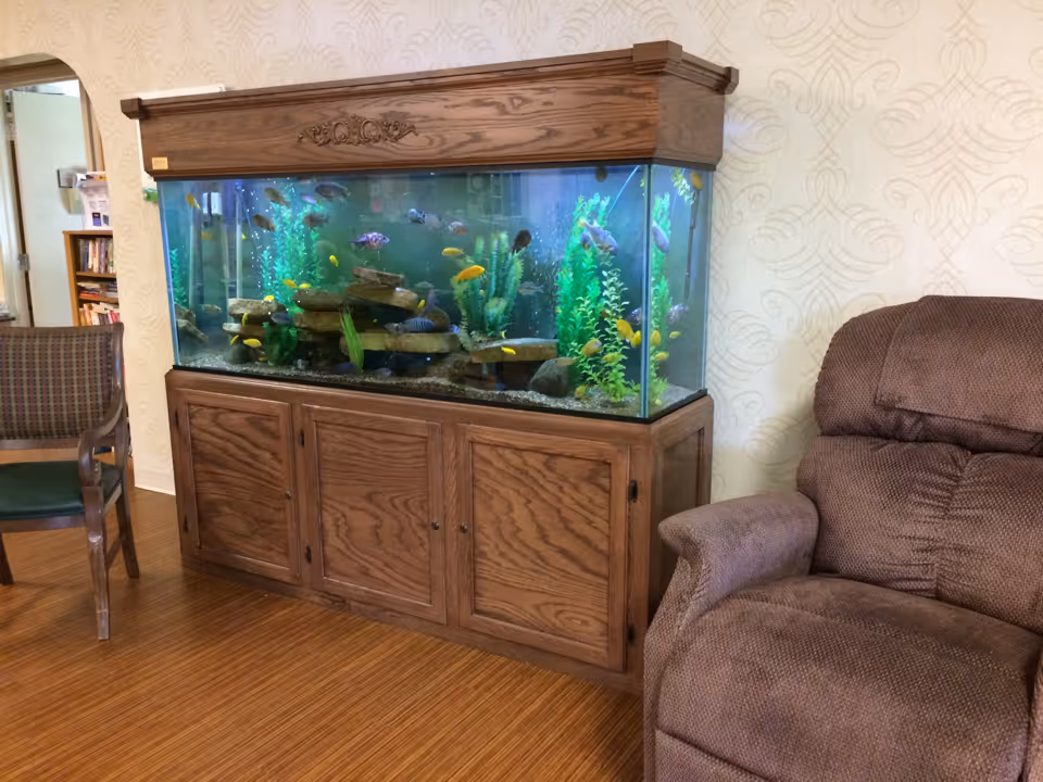 A large fish tank with colorful fish and aquatic plants sits on a wooden cabinet in a room with patterned wallpaper. To the right of the tank is a brown upholstered recliner chair, and to the left is a wooden chair with a green cushion. A doorway and bookshelf are visible in the background.