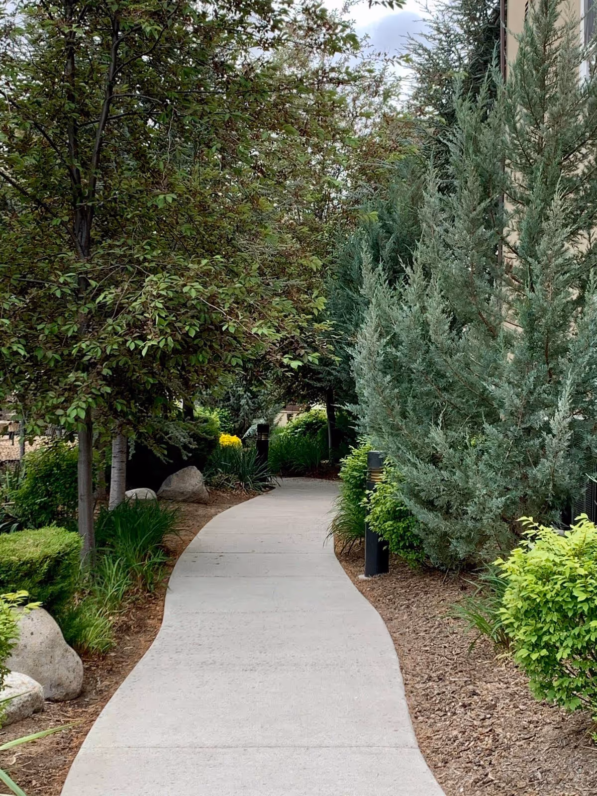 A curved concrete pathway surrounded by lush greenery including various trees, bushes, and plants. The path is bordered by mulch and rocks, with some building structure partially visible on the right side.