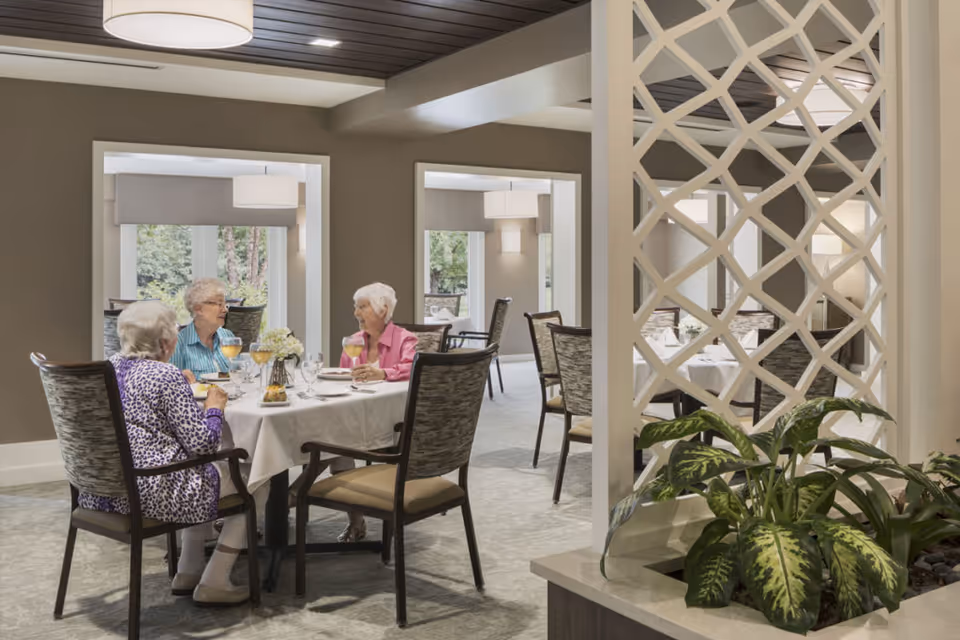 Three elderly women sitting around a table in a well-lit dining room, enjoying drinks and conversation. The room features modern decor with neutral tones, large windows, and a decorative white lattice partition next to a planter with green foliage.