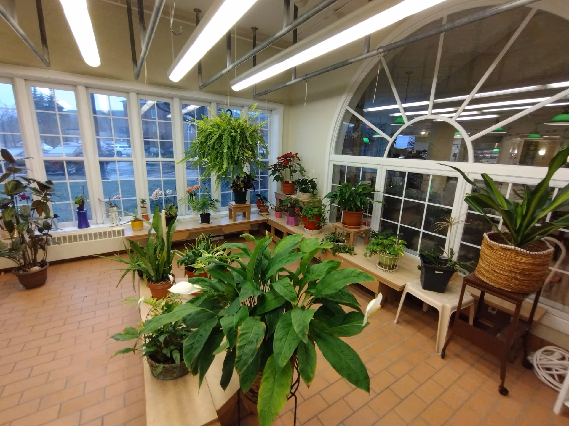 Indoor garden room with large windows, various potted plants on benches and tables, and a tiled floor. The room is well-lit with overhead fluorescent lights and has a view of the outside parking area through the windows.