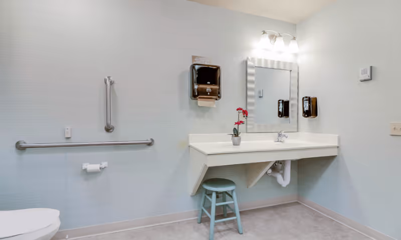 A clean and accessible bathroom with a white toilet partially visible on the left, a horizontal and vertical grab bar on the wall, a toilet paper holder, a white countertop sink with a silver faucet, a small green stool underneath, a rectangular mirror with a wavy frame above the sink, two soap dispensers mounted on the wall, a small potted plant with red flowers on the countertop, and a three-light fixture above the mirror.