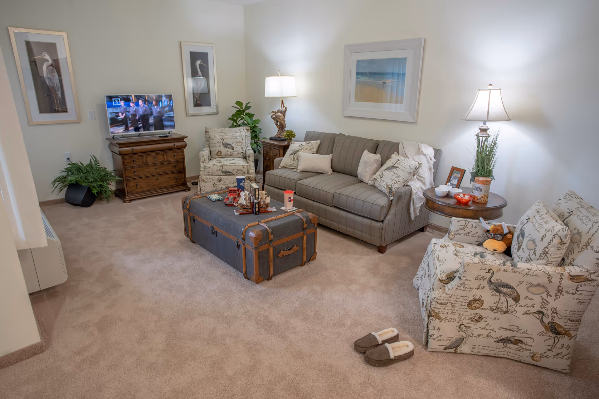 A cozy living room with beige carpet, a gray sofa with multiple pillows, two armchairs with bird and script patterns, a wooden chest used as a coffee table with various items on it, a wooden side table with a lamp and plant, a TV on a wooden stand, framed bird artwork on the walls, and a pair of slippers on the floor.