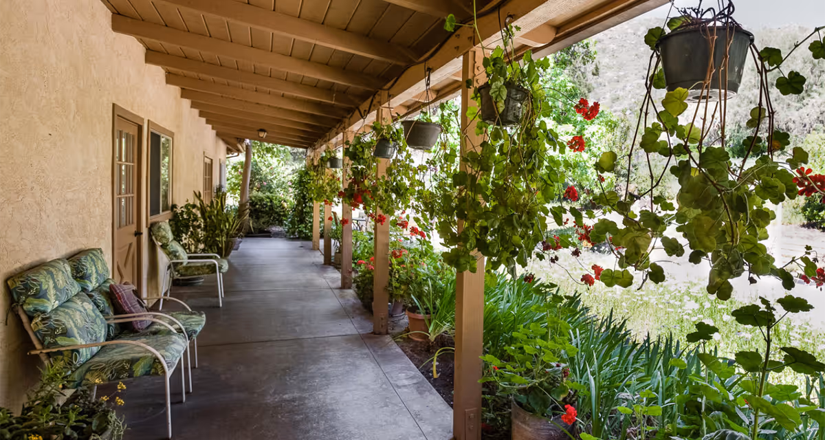 Covered veranda with cushioned chairs, hanging potted plants, and a walkway beside a garden.