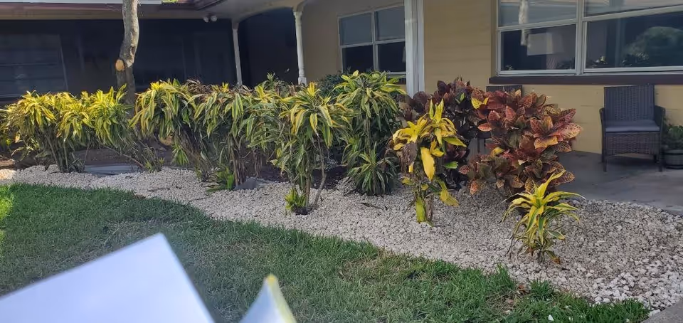 Outdoor garden area with various green and yellow leafy plants arranged in a bed of white rocks next to a building with windows and a wicker chair on a small porch.