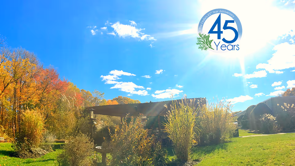 Outdoor garden area at The Cedars with green grass, various bushes and tall grasses, and trees with autumn-colored leaves under a bright blue sky with some clouds. The sun is shining brightly, and there is a logo in the sky area that reads 'The Cedars 45th Year Anniversary 45 Years' with a green leaf graphic.