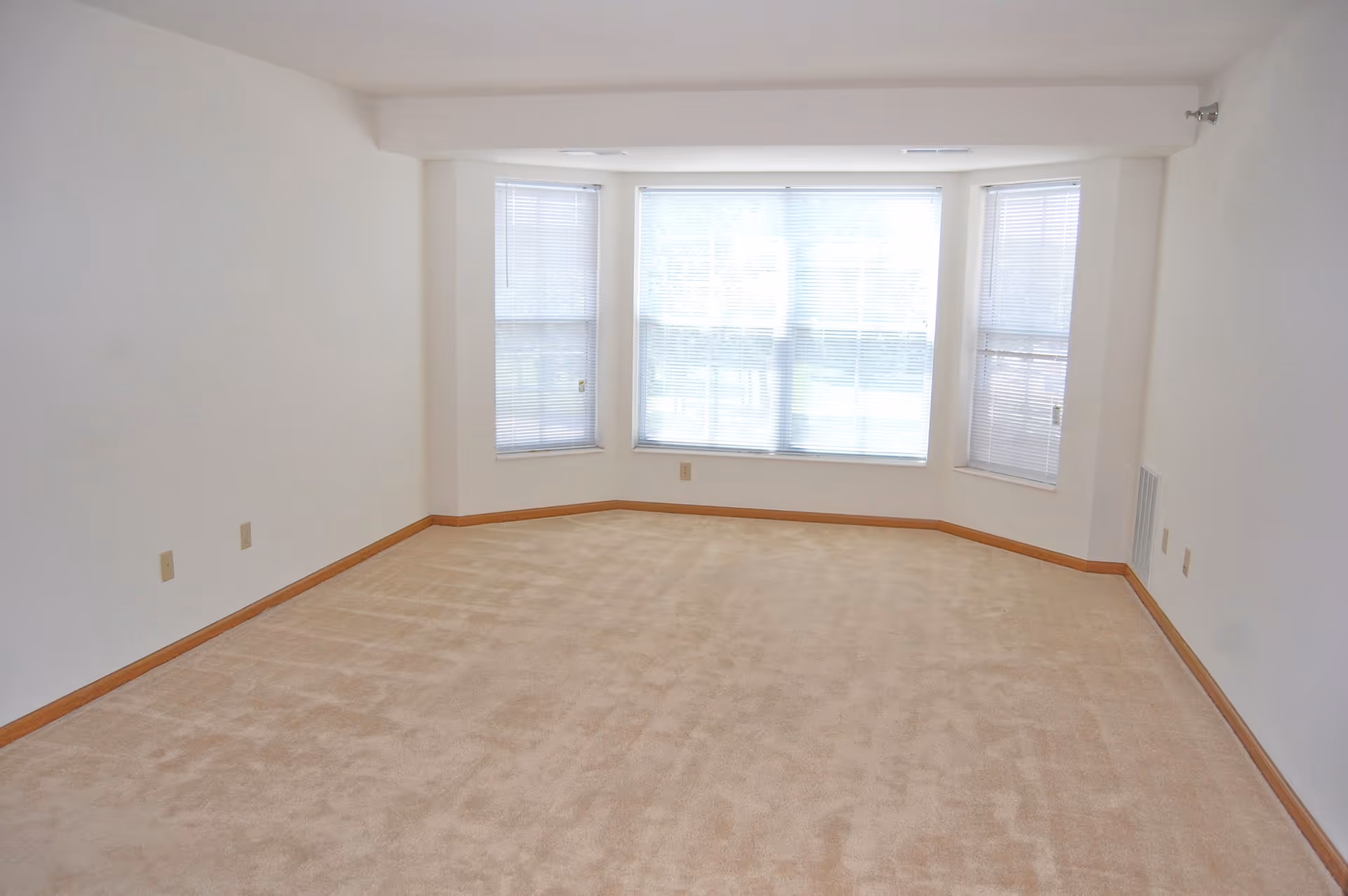 Empty room with beige carpet, white walls, and a large bay window with blinds partially closed, allowing natural light to enter.