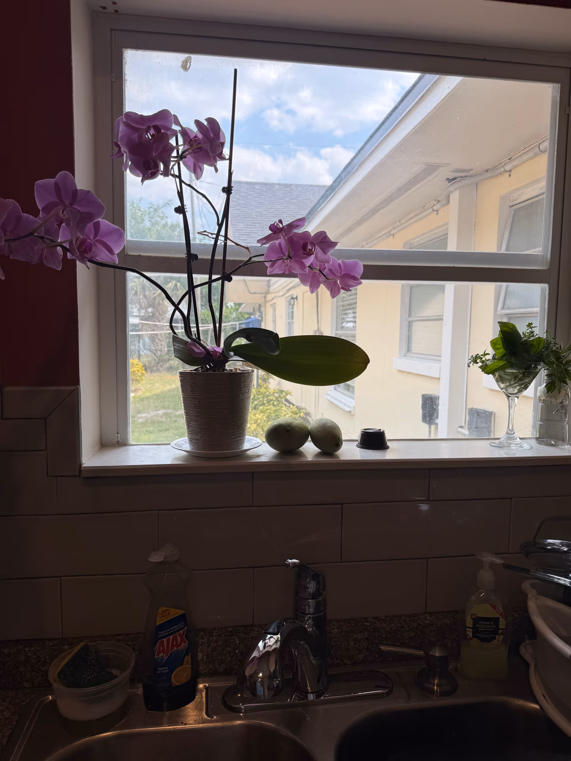 A kitchen sink area with a window above it. On the windowsill, there is a potted orchid with purple flowers, two green fruits, and a small glass container with green plants. Outside the window, a building and some greenery are visible. Below the window, there is a faucet, a bottle of Ajax dish soap, a sponge, and a bottle of hand soap.