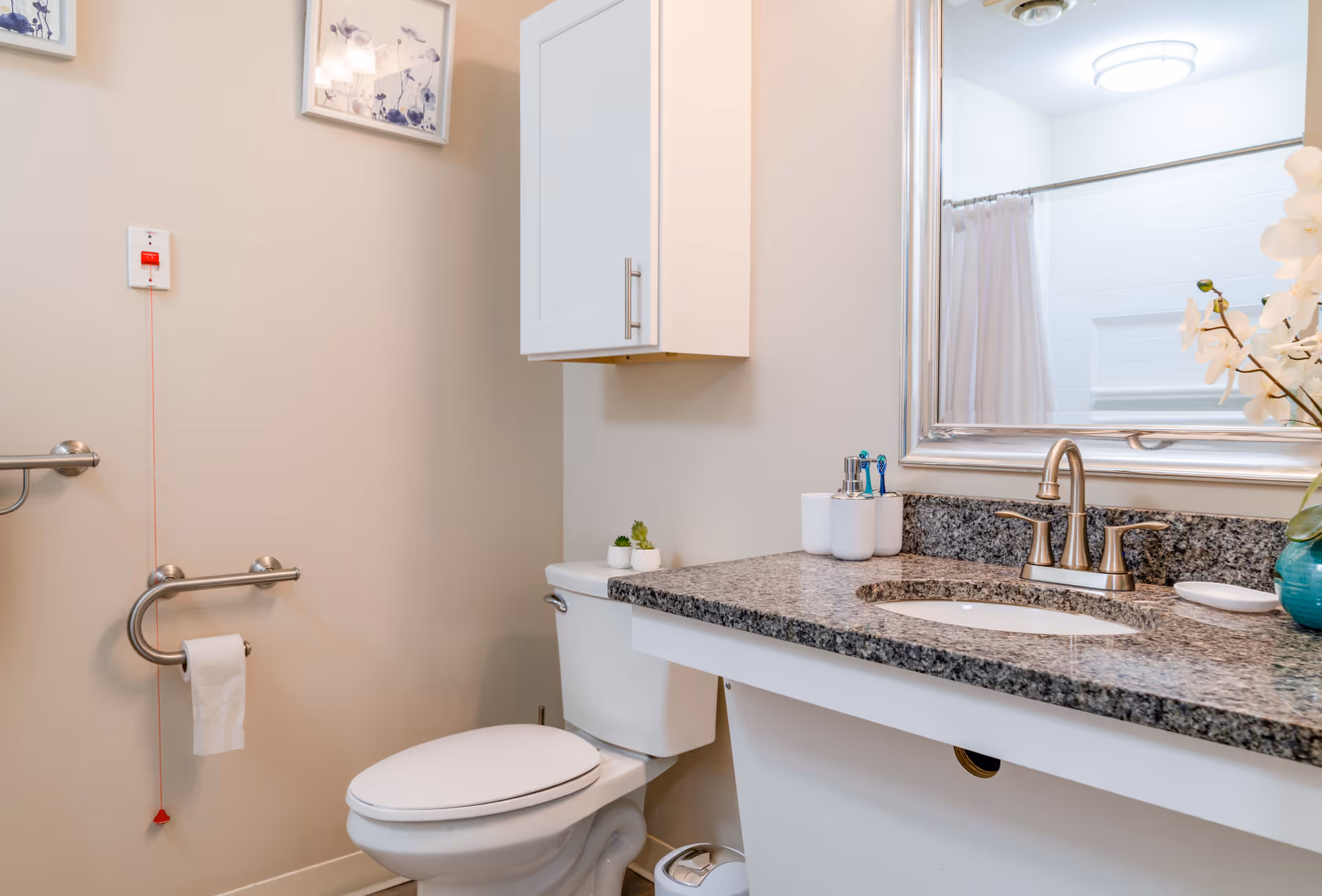 Accessible bathroom with a toilet, grab bars, granite sink countertop, and a large mirror.