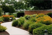 A landscaped outdoor garden area with a curved concrete pathway surrounded by green shrubs, flowering plants, and trees. A brick wall and white fence are visible in the background.