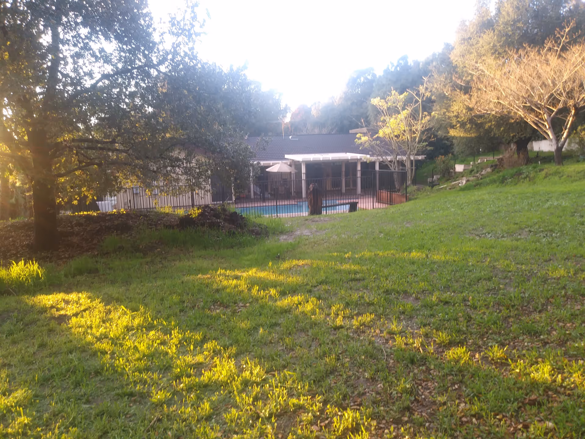 A grassy outdoor area with trees and sunlight casting shadows on the ground. In the background, there is a fenced swimming pool and a building with a covered patio.
