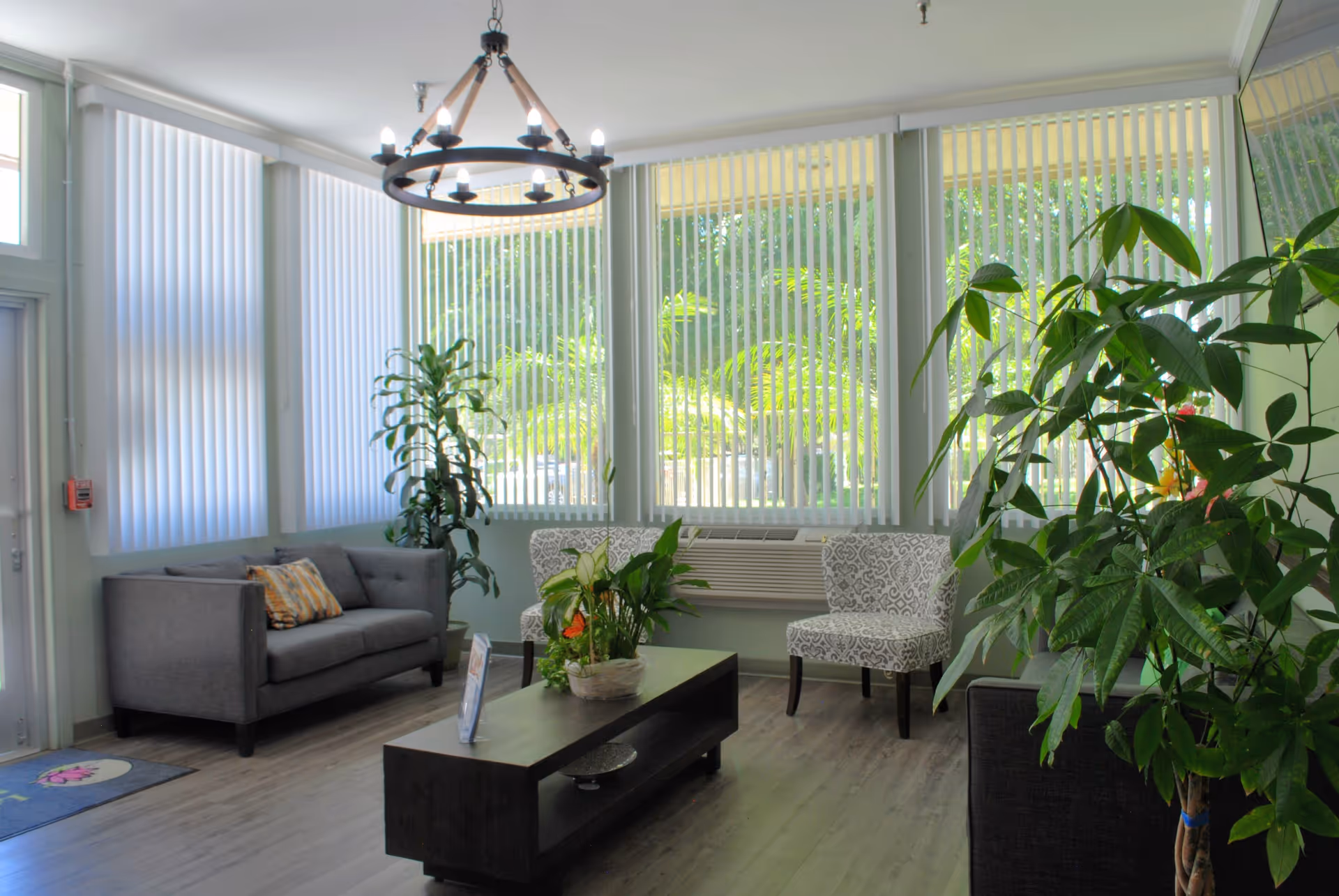 Bright seating area with sofas, patterned chairs, a coffee table and large plants in front of tall windows with vertical blinds.