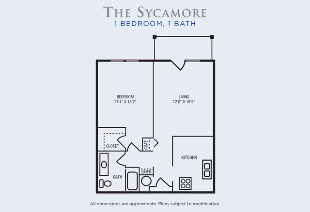 Floor plan titled 'The Sycamore' showing a one-bedroom, one-bath apartment layout with labeled bedroom, living room, kitchen, bathroom, closets, and entry.