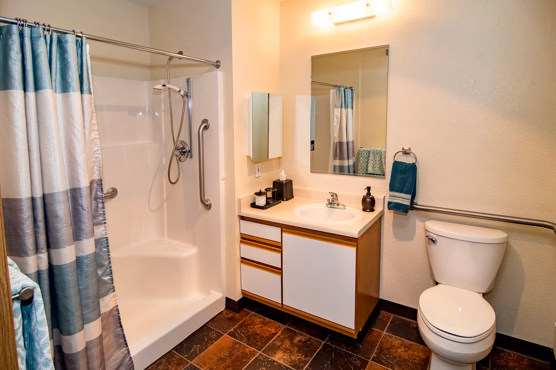 Accessible bathroom with a walk-in shower, sink vanity, and toilet with grab bars.
