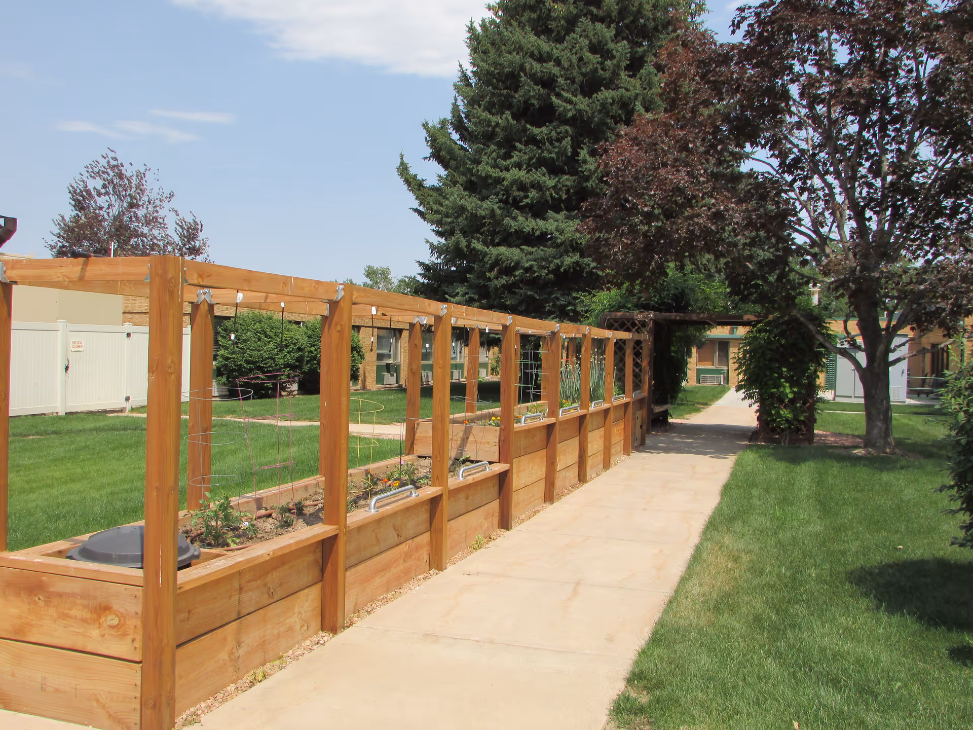 Sunlit courtyard walkway with raised wooden planter beds, grass, trees, and a building in the background.