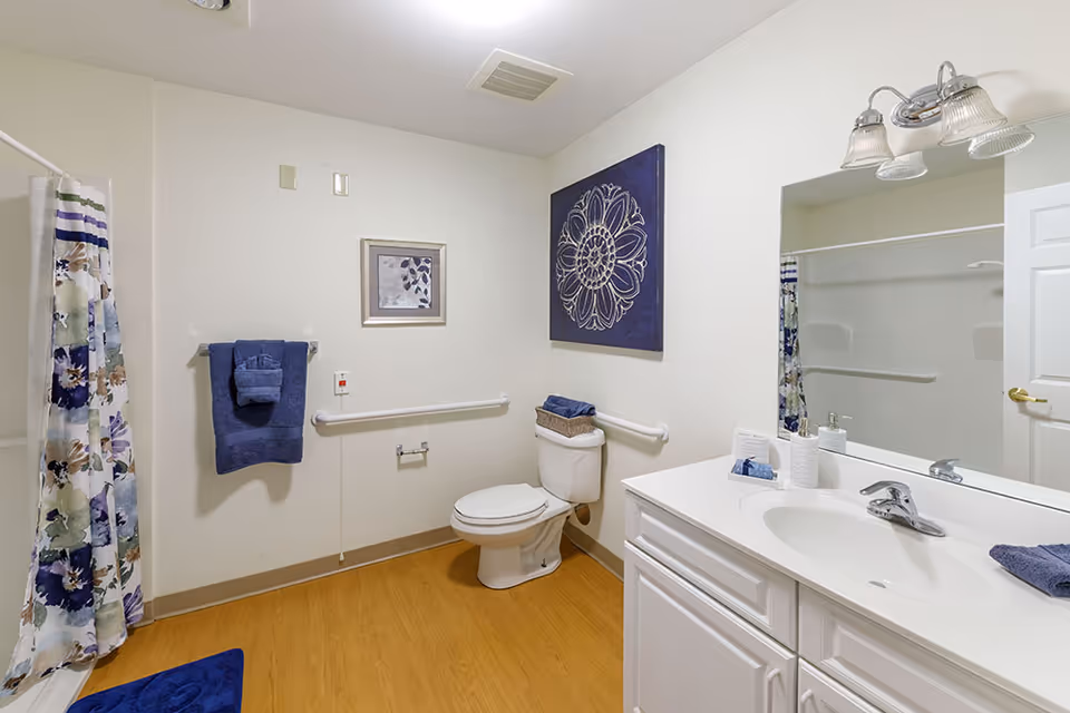 Accessible bathroom with toilet, sink vanity, shower with patterned curtain, grab bars, and decorative wall art.