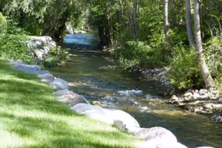 A clear, gently flowing stream bordered by rocks and lush green grass with trees providing shade along the banks.