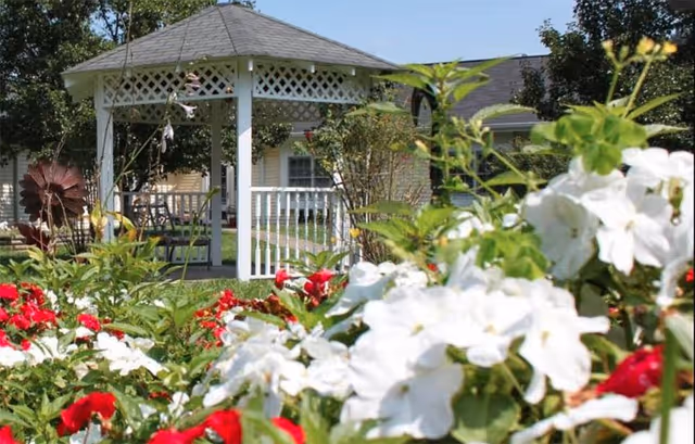 A white gazebo with lattice trim in a garden surrounded by vibrant red and white flowers and green foliage, with a building partially visible in the background under a clear blue sky.