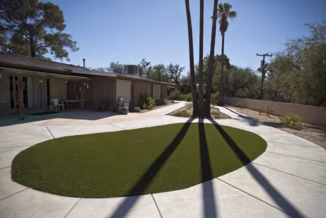 Courtyard with an oval green lawn, tall palm trees casting long shadows, and a single-story building with covered patios.