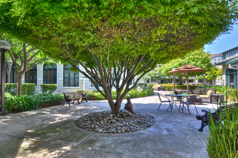 A peaceful outdoor courtyard area with a large tree surrounded by rocks in the center. There are benches, a table with chairs and an umbrella, and cushioned seating arranged on a concrete patio. The courtyard is surrounded by buildings with windows and greenery including bushes and plants.