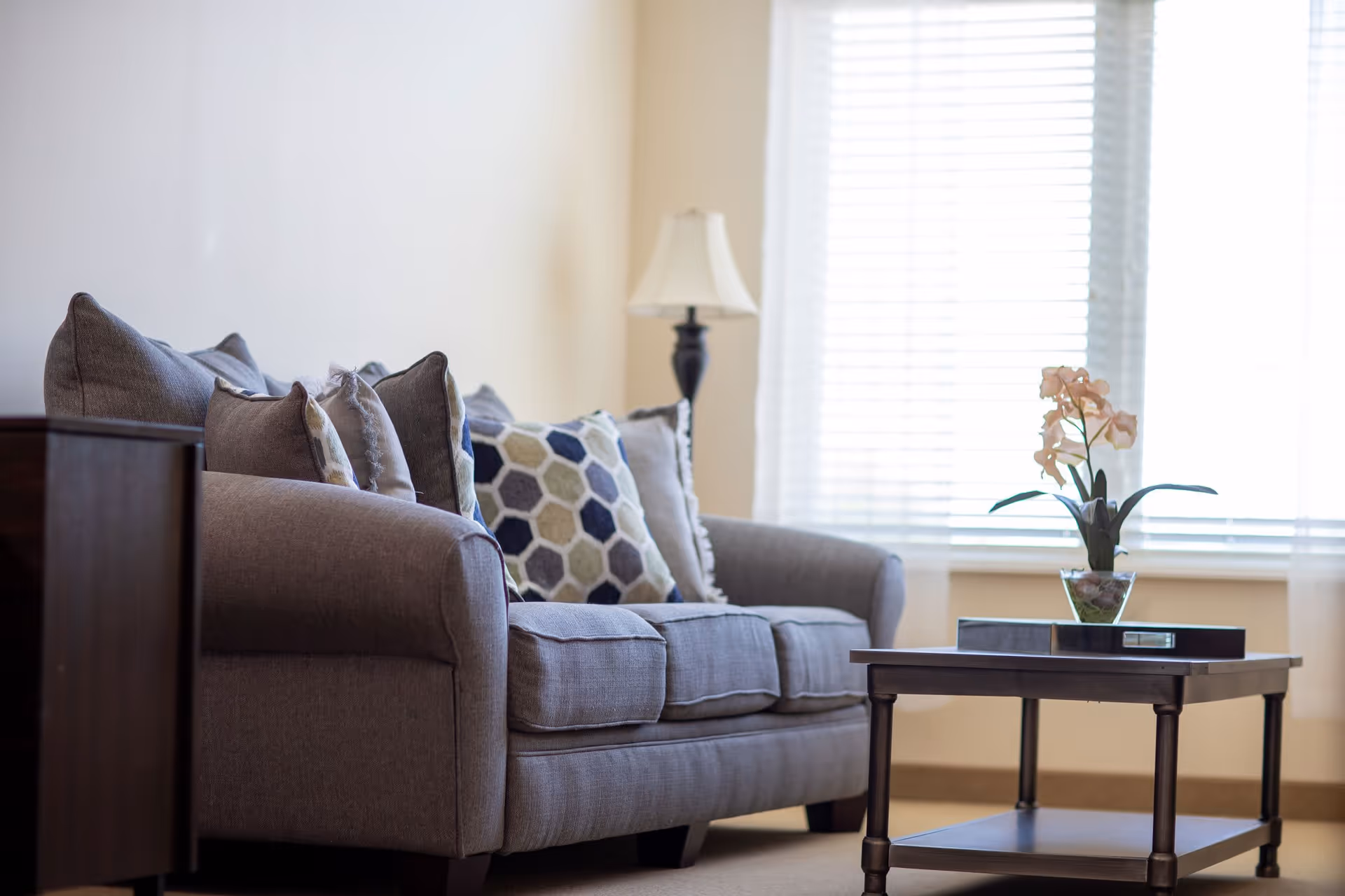 A cozy living room area with a gray upholstered sofa adorned with multiple decorative pillows in various patterns and colors. Next to the sofa is a dark wooden side table, and in front of it is a matching coffee table with a small potted plant and a decorative tray. A floor lamp with a white lampshade stands near a window with white blinds, allowing natural light to softly illuminate the room.